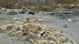 Afyonkarahisar'daki kum ocağı çevre felaketiyle karşı karşıya