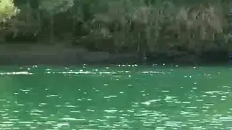 Şırnak'ta bot faciası: Pikniğe giden aileden bir kadın hayatını kaybetti
