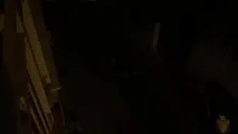 Kuşadası'nda yaban domuzları mahallelerde geziyor