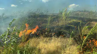 Şırnak'ta çıkan orman yangını, hızlı müdahale ile kontrol altına alındı