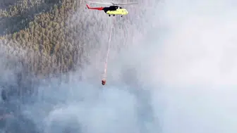 Kastamonu'daki orman yangını hızlı müdahale ile söndürüldü