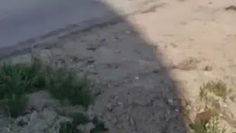 Sevgilisiyle tartıştı, kadını dövdü ama serbest kaldı