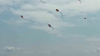 Fatsa'daki mevsimlik tarım işçilerinin çocukları eğitim alırken şehri keşfediyor