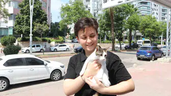 Pitbull saldırısı sonrası kedi haberiyle mahalledeki vatandaşlar tepki gösterdi