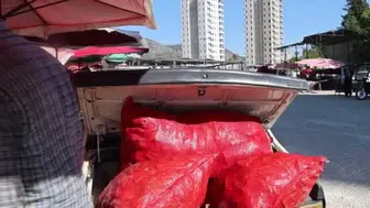 Kozan'da salçalık biber sezonu başlıyor: Toroslar yeniden işe yarıyor