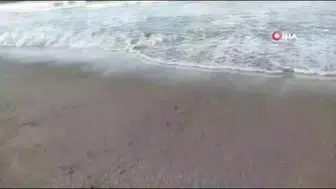 Sinop sahilinde insansız hava aracı parçaları bulunduğu iddia edildi