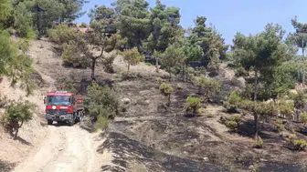 Kahramanmaraş’taki orman yangını hızlı müdahale ile kontrol altına alındı
