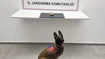 Şanlıurfa'da uyuşturucu operasyonu gerçekleştiren jandarma, bir şüpheliyi tutukladı