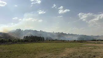 Ahlat'ta örtü yangını kontrolden çıkmadan söndürüldü