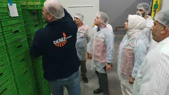 Aydın'da kuru incir sezonunda denetim seferberliği