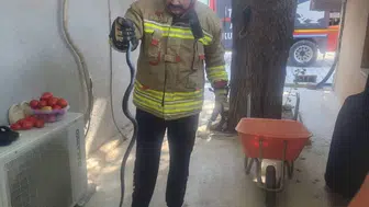 Antakya'da evin içine giren yılan, ekipler tarafından güvenle yakalandı