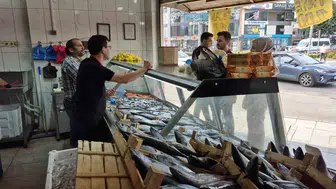 Düzce'de balık sezonu baharı müjdeliyor: Palamut ve hamsi tezgahlarda