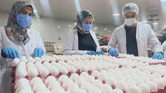 Yumurta fiyatlarına kısa vadede zam beklenmiyor