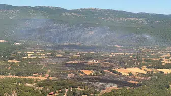 Muğla'daki orman yangınında etkili hava müdahalesi: 90 saniyede 15 ton su