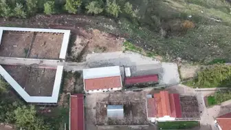 Bilecik'te meme tümörü ameliyatı geçiren sokak köpeği sağlığına kavuştu