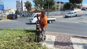 Kuşadası'nın yeşil alanları için kapsamlı bakım çalışmaları başladı