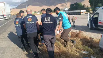 Van'da ağaca çarpan otomobilde dört kişi yaralandı