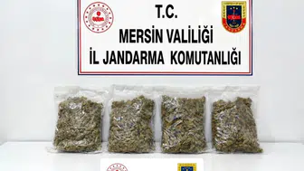 Mersin’de uyuşturucu baskını: İki kişi gözaltında