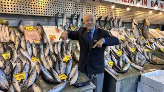 Denizlerde balık bereketi tezgahlara yansıdı