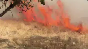 Denizli'de anız yangını hızlıca kontrol altına alındı