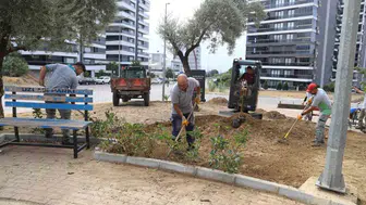 Nazilli Belediyesi kış öncesi park ve bahçelerde bakım çalışmaları yapıyor