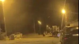 Sinop'un gece manzarası: Ayı park halindeki araçlar arasında dolaştı