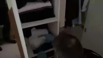 Malatya'da yasa dışı silah ticaretine geçit yok: 3 kişi gözaltında