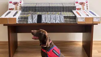 Bolu'da yolcu otobüsünde 450 bin lira değerinde kaçak ürün ele geçirildi