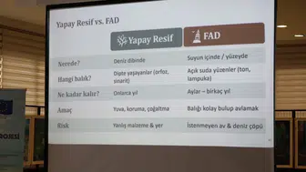 Karadeniz’de deniz çayırlarının haritalanması projesi tamamlandı
