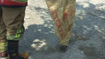 Yeniden doğaya kazandırılan yılan, Erzin’de bir evde bulundu