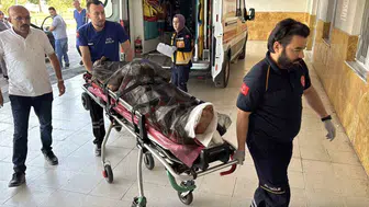 Sivas'ta ayı saldırısına uğrayan vatandaş hastaneye kaldırıldı