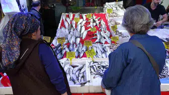 Samsun'da palamut fiyatları 90 TL'ye düşünce balık tezgahları doldu taştı