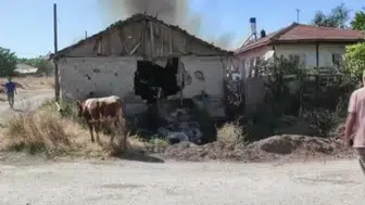 Sincan’da çıkan ahır yangınında 13 hayvan telef oldu
