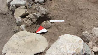 Külhöyük'te 4 bin yıllık hitit kabında endemik sevgi çiçeği tohumlarına rastlandı