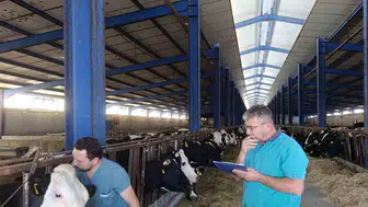 Karapınar'da hayvan sağlığını korumak için tüberküloz taramaları sürüyor
