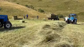 Ardahan'da kışlık yem üretimi için çiftçiler yoğun çalışıyor