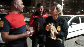 Yozgat'ta itfaiye, otomobilin motor kısmında mahsur kalan yavru kediyi kurtardı