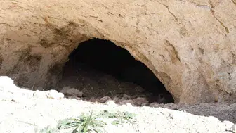 Yozgat’tan dünya mutfaklarına uzanan pekmez şarabının gizemi: Beyaz toprak