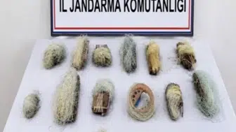 Bolu'da kaçak ağ denetiminde 22,5 metre uzunluğunda ağ ele geçirildi