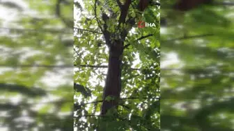 Osmaniye'de düğün salonunda elektrik yangını ve pano patlası