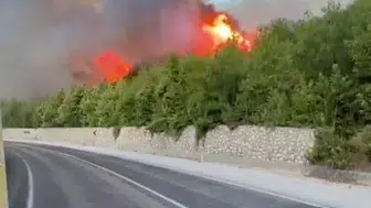 Adana'da çıkan orman yangını sakinleştirildi