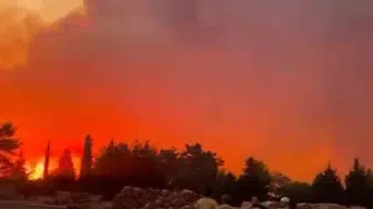 Menteşe’deki orman yangınına havadan ve karadan yoğun müdahale