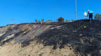 Diyarbakır'da anız yangını, 100 dönüm arazide zarar oluştu
