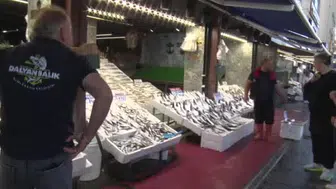 Balık sezonu açıldı, taze çeşitler tezgâhta