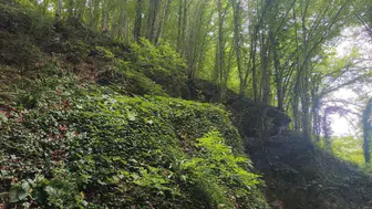 Fındık toplarken dengesini kaybeden adam uçuruma düştü