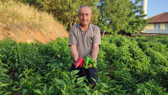 Beyağaç’ın yerel zenginliği: Kayaca biberi ile geleneksel tarımın önemi