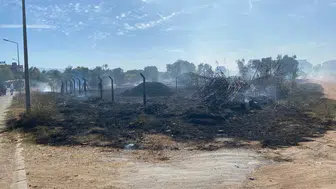 Aydın'da özel okul yanındaki yangın paniğe neden oldu