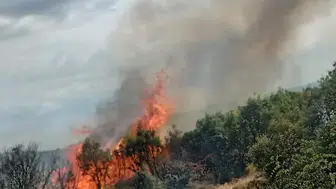 Ayvacık’ta makilik alanda çıkan yangın kontrol altına alındı