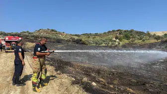 Hatay'da zeytinlikte çıkan yangın hızlıca kontrol altına alındı