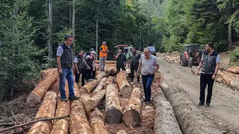Bolu orman bölge müdürü ormancılık çalışmalarını denetledi